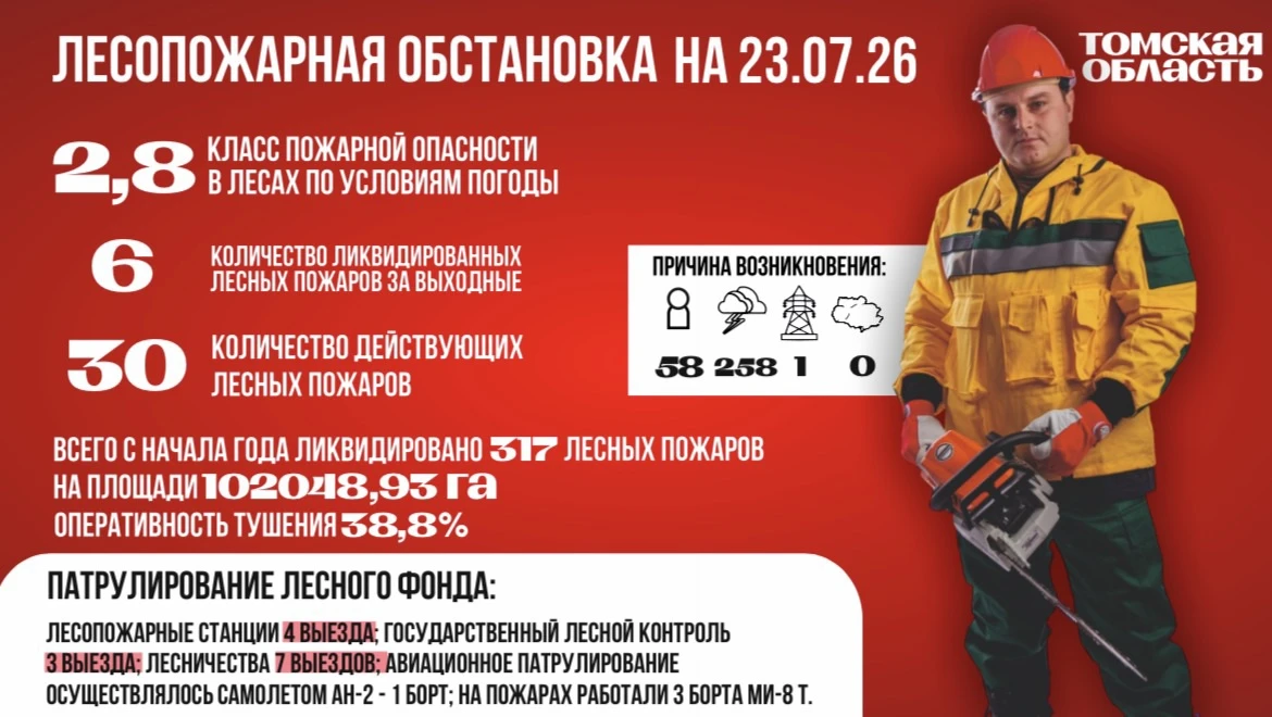 На территории Томской области класс пожарной опасности в лесах по условиям погоды 2,8 (средняя пожар