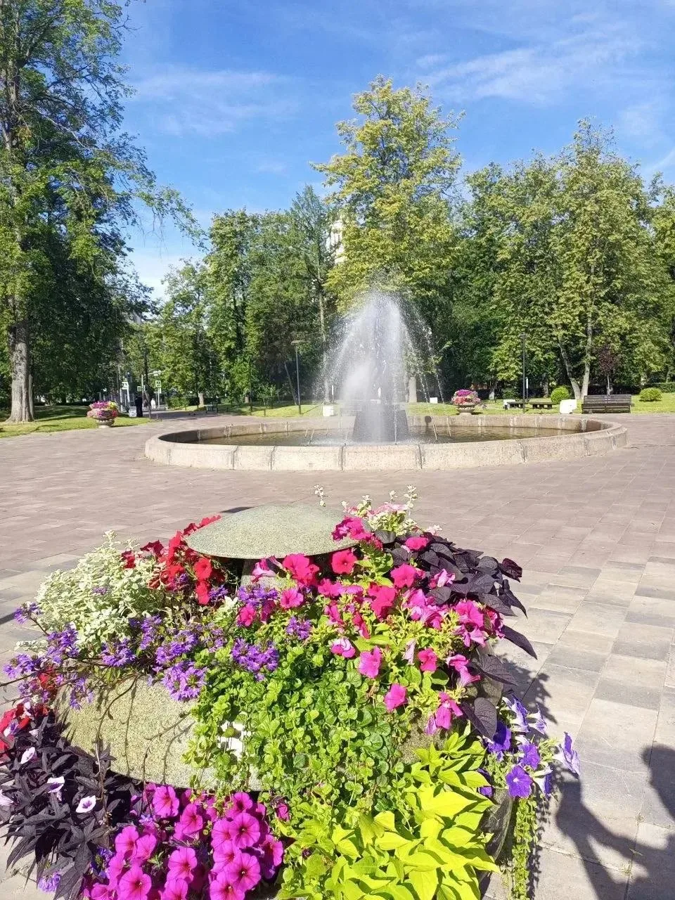 Яркое лето в фото читателя 🌸