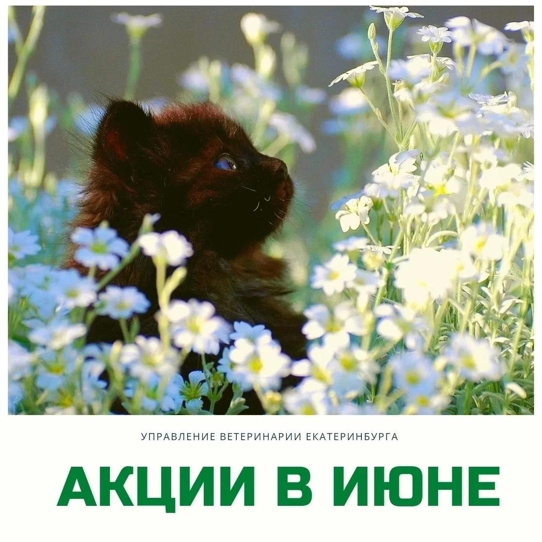 ✨ АКЦИИ МЕСЯЦА✨