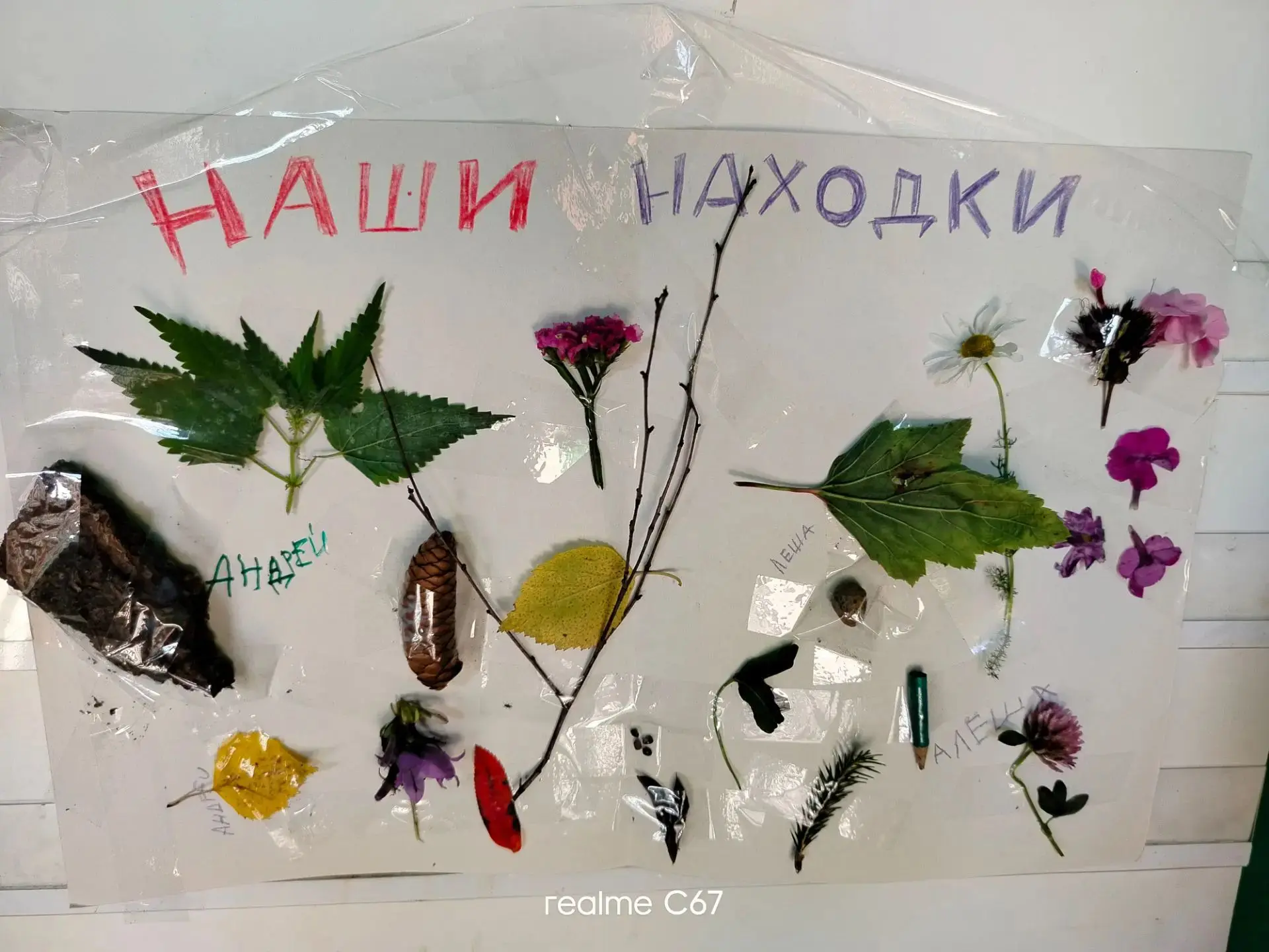🍂 Прогулка, полная открытий: играем в "находилки"! 🍁