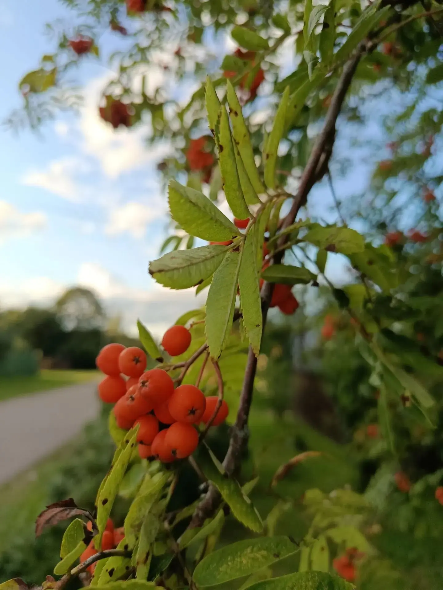 С началом новой рабочей недели!☀️