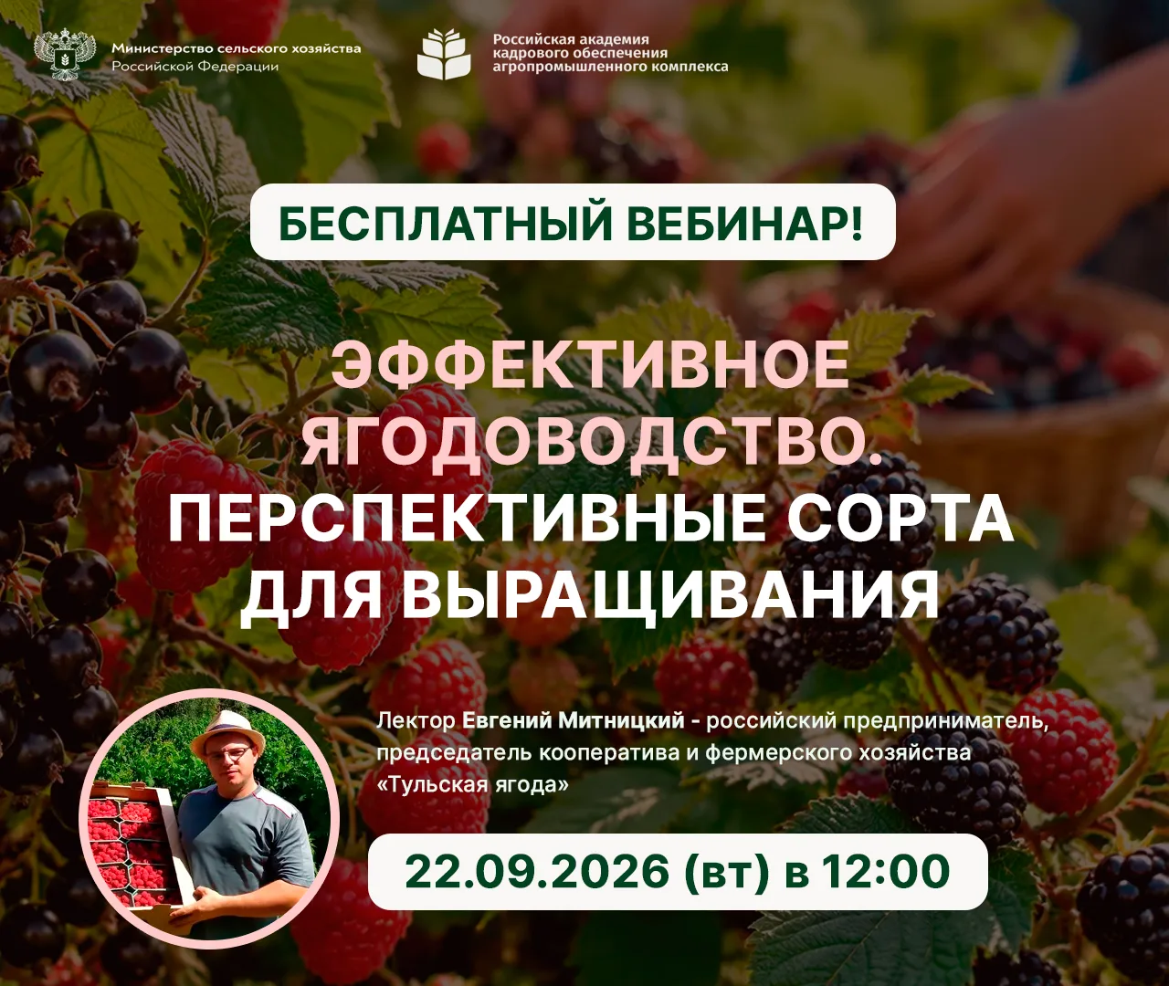 🍓 Как вырастить ведро крупной ягоды без лишних усилий? Приглашаем на бесплатный вебинар!