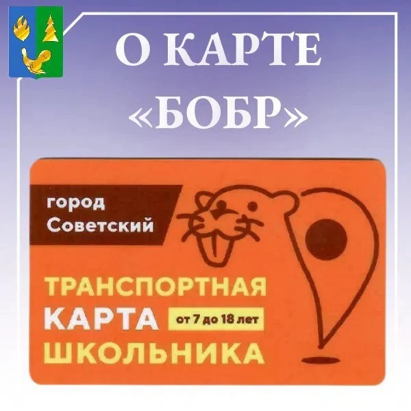 QR - коды на проезд по социальной карте для школьников «Бобр» с льготным тарифом по опл...