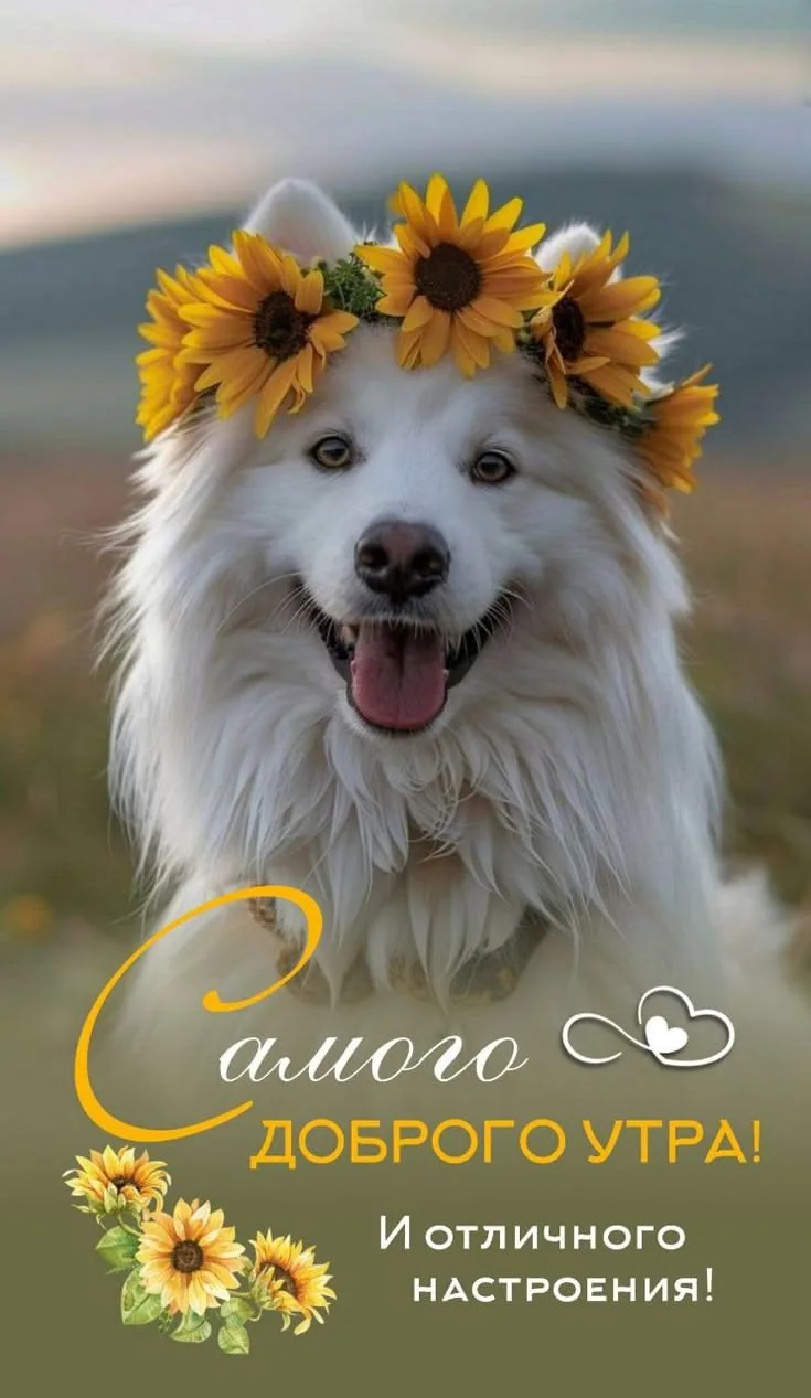 Подпишись 👇