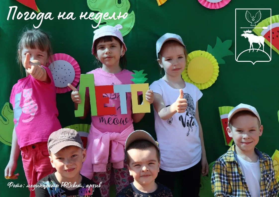 С добрым утром, Красногорский район! Поздравляем с первым днём лета🌷✨