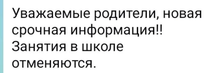 В школах Ульяновска отменяют занятия, сообщают учителя в родительских чатах