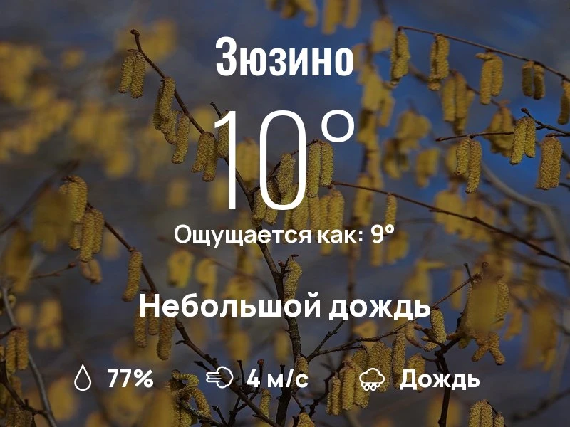 Что с погодой в Зюзино?