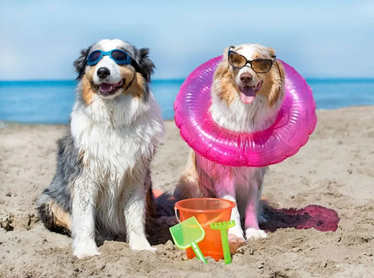 🏖️ Пляжный сезон в Сочи могут продлить до ноября из-за теплой погоды