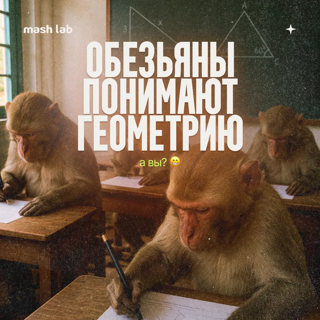 Докажите, что перед вами треугольник. Не хотите? Ладно, тогда это сделают обезьяны.

🧪 Mash Lab о т