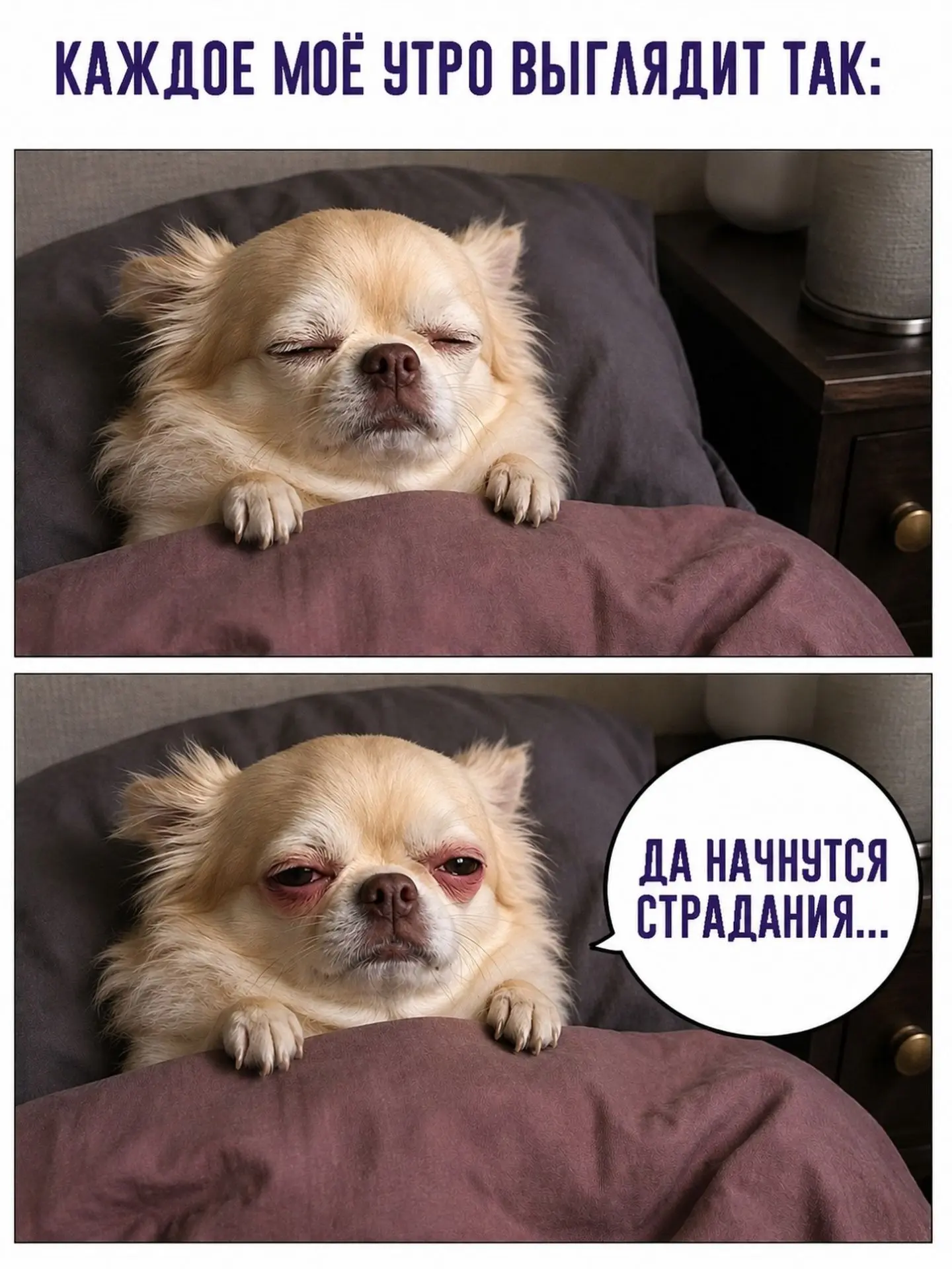 Доброе утро!☕