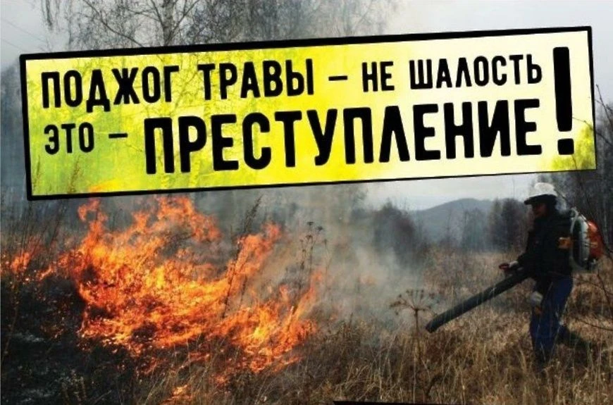 МЧС России напоминает о необходимости уборки участков от сухой травы