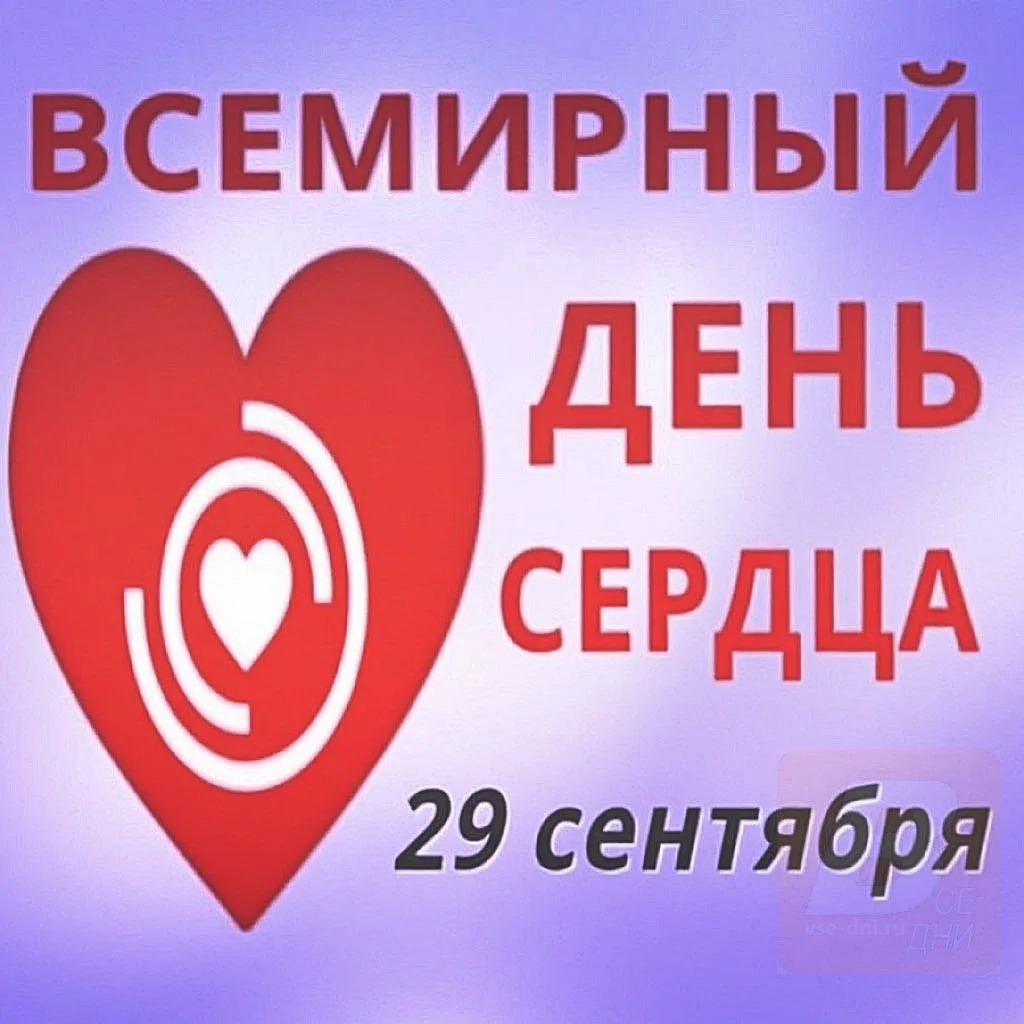 Главные праздники и события вторника, 29 сентября 2026 года:
