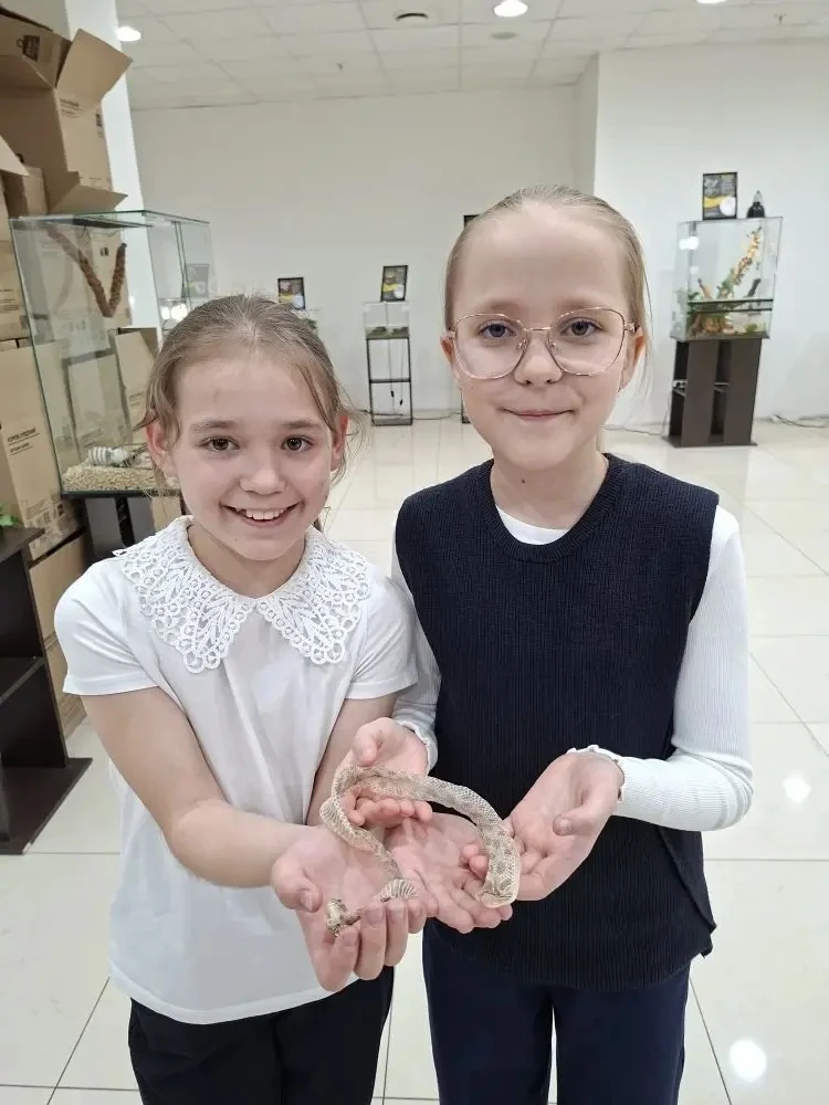 🐊 Трогательные рептилии🦎   Сегодня ребята 4Г класса познакомились с удивительными обитателями террар