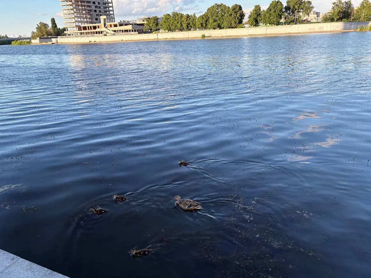 Во вторник в Пензенской области потеплеет до +29 градусов

Вторник порадует жителей региона переменн