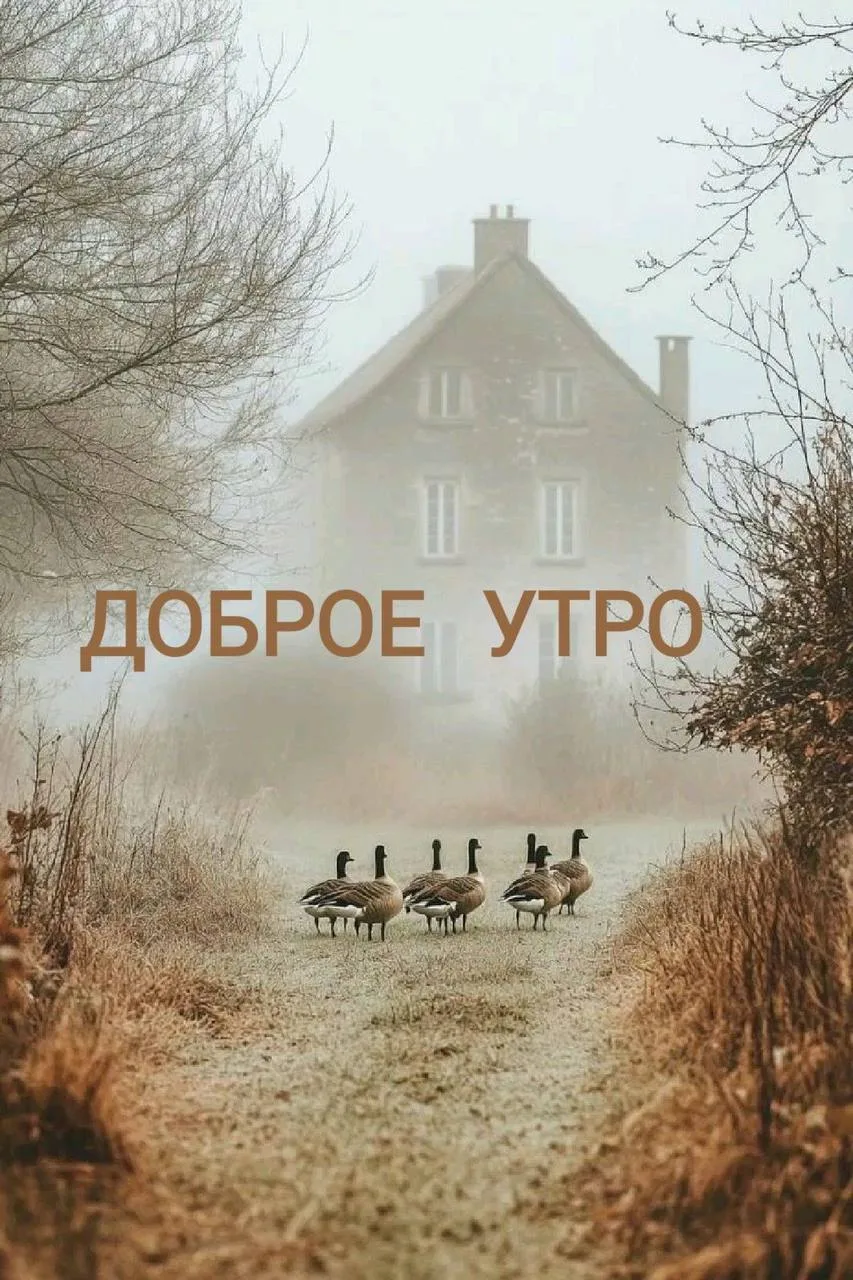 Доброе утро!