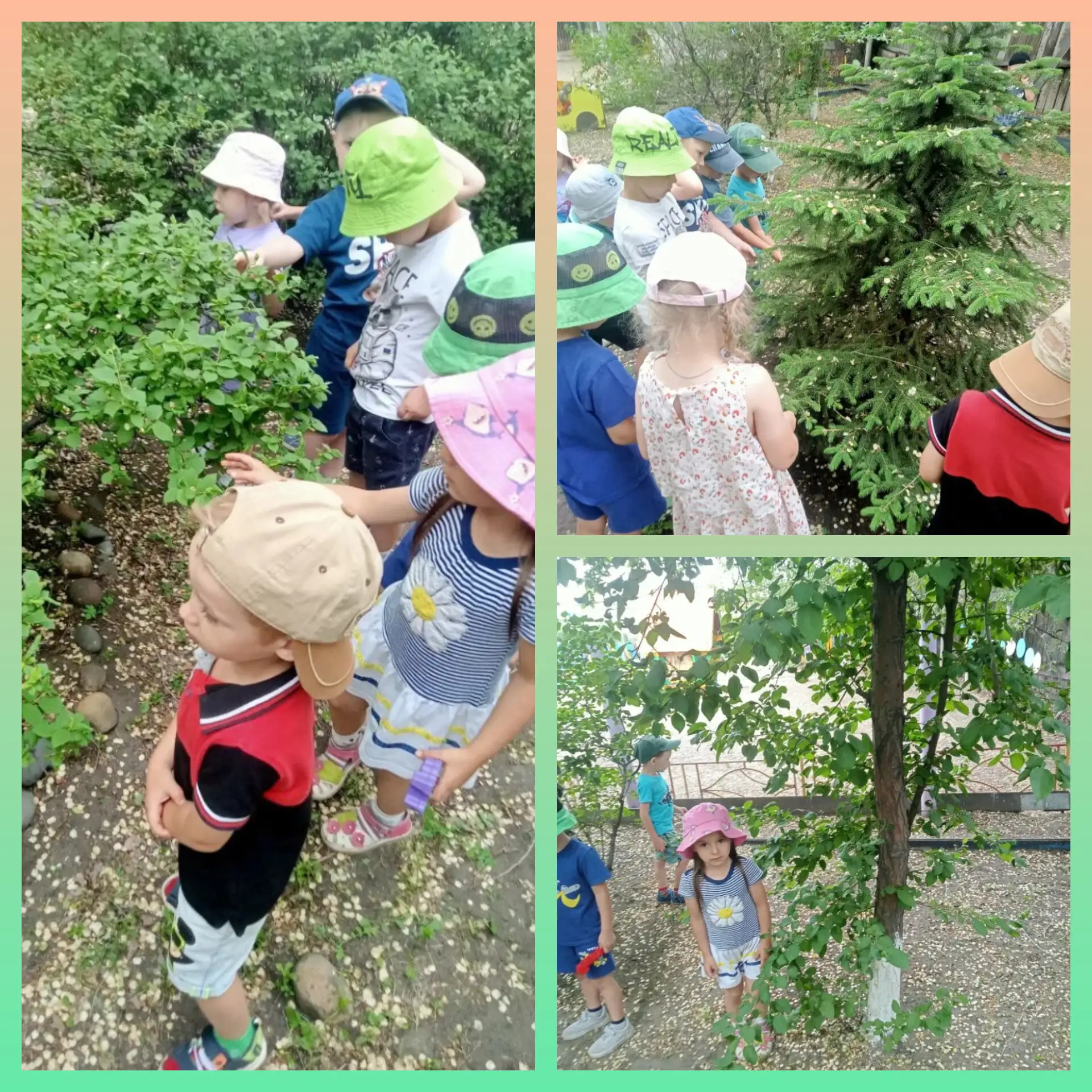 🌳 Прогулка в саду с нашими «Смешариками»! 🍃🌲