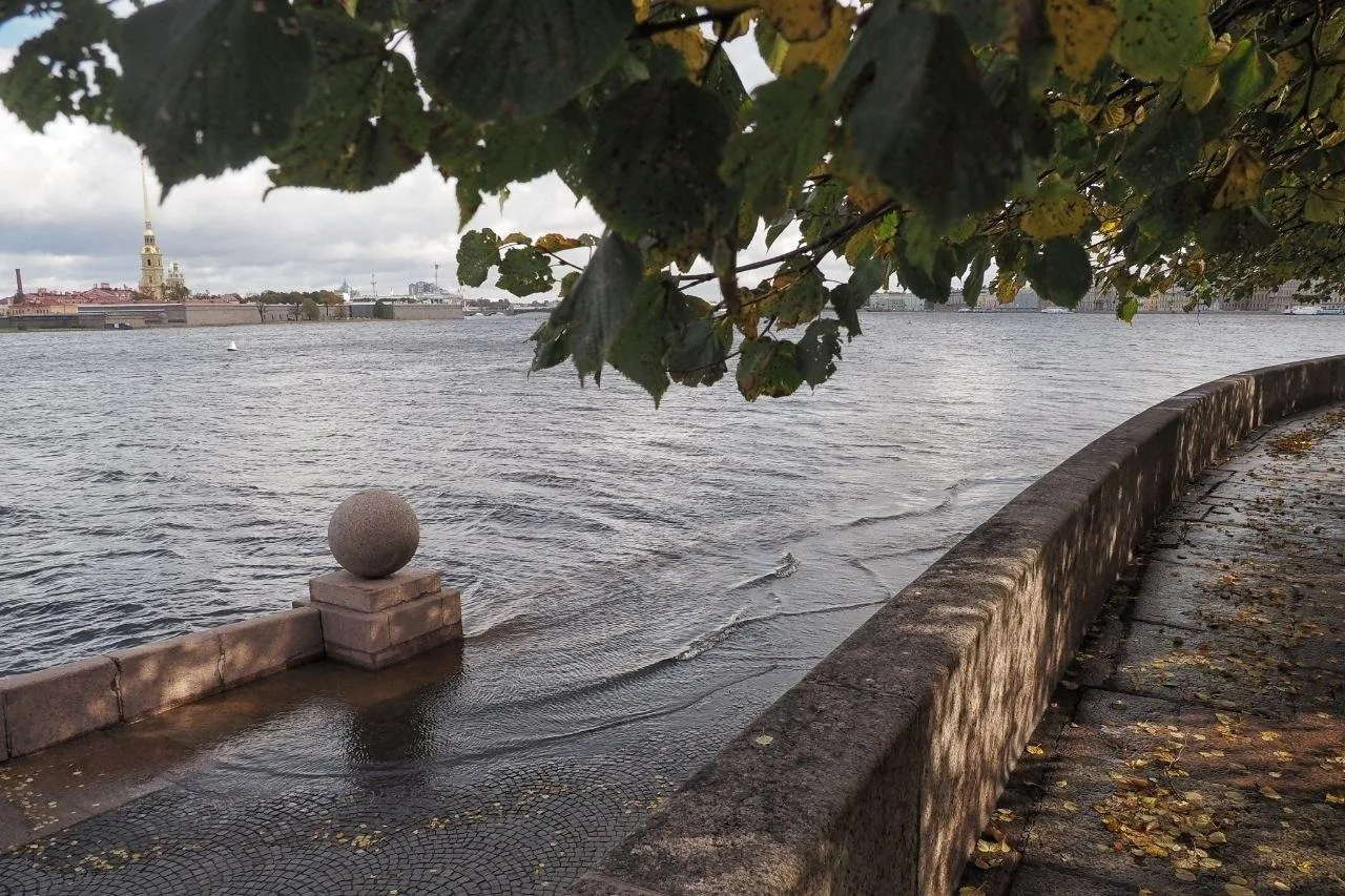 119 сантиметров - до такого уровня поднялась вода в Неве у Елагина острова