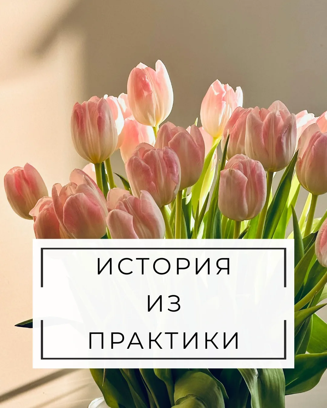 ИСТОРИЯ ИЗ ПРАКТИКИ