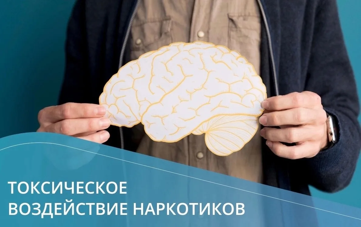 📌 Все психоактивные вещества, вне зависимости от их типа или способа употребления, представляют соб
