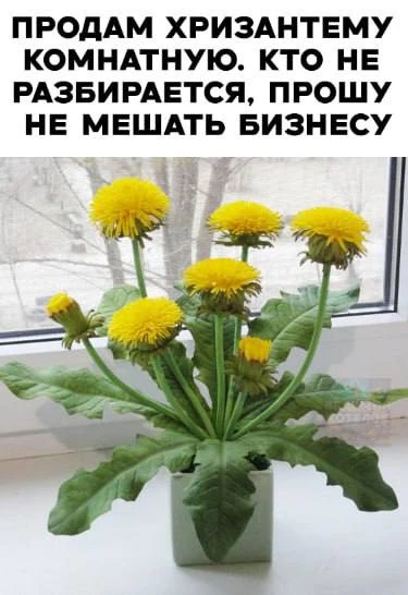 Я девочка, мне можно!