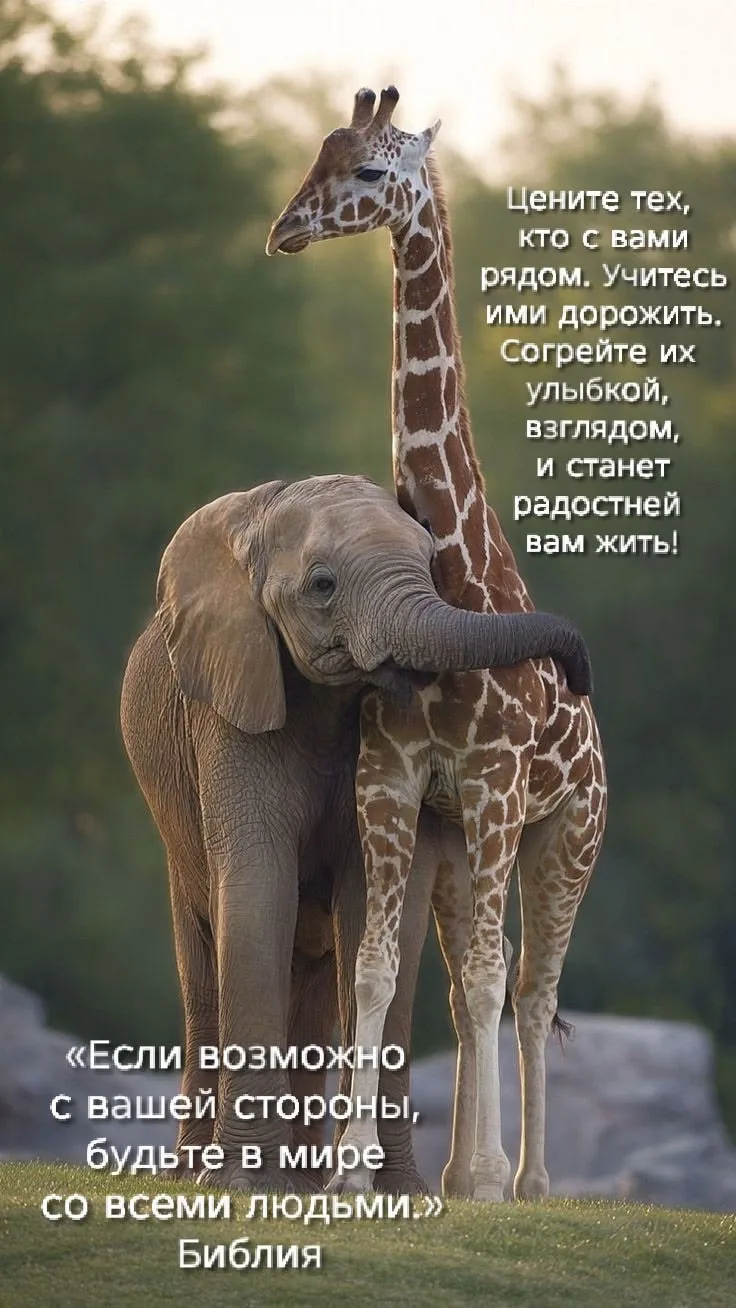 Православные открытки