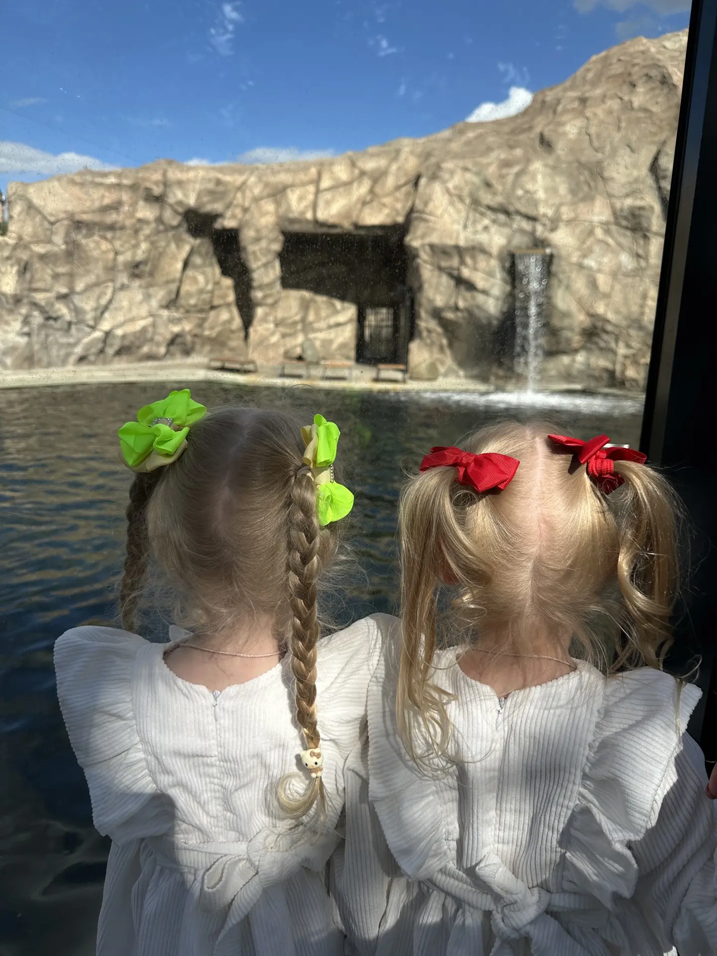 Почти все обошли 🙌🏻 но многие животные либо прятались, либо спали, либо ели 😄