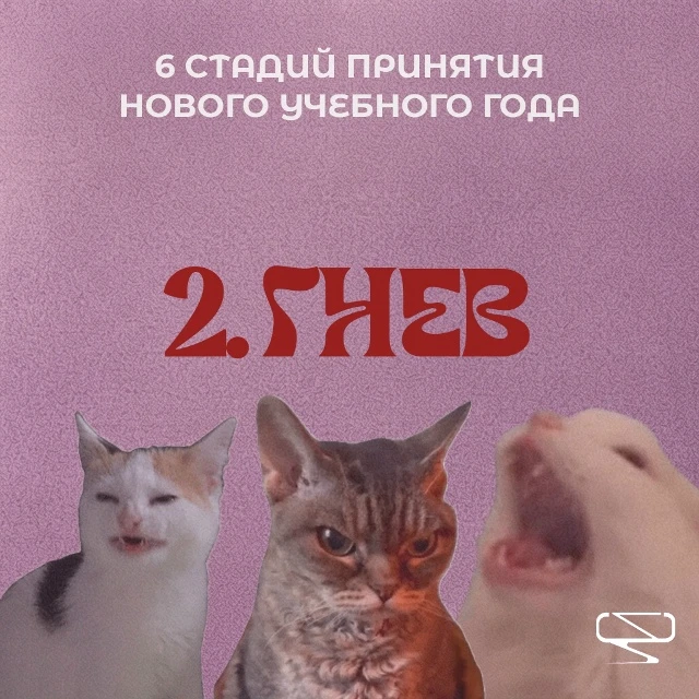 До нового учебного года осталось 5 дней!