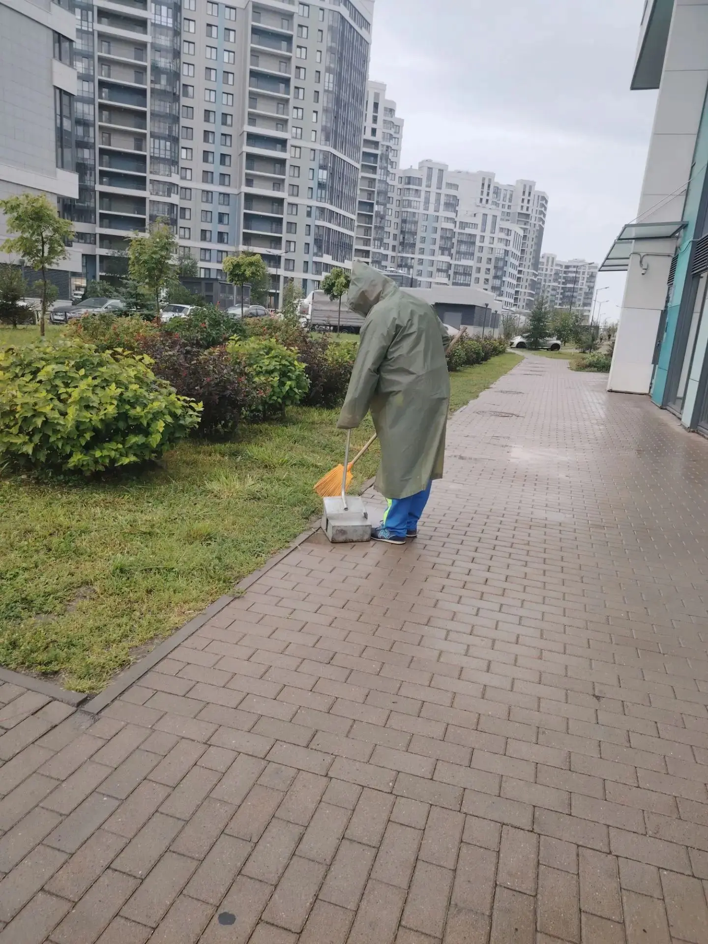 🏡Фотоотчет о проделанной работе.