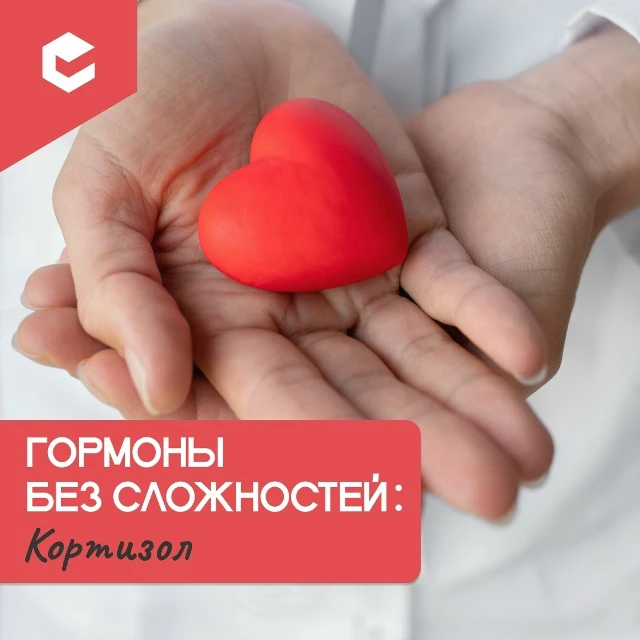 Кортизол — один из ключевых гормонов нашего организма, который часто называют «гормоном...