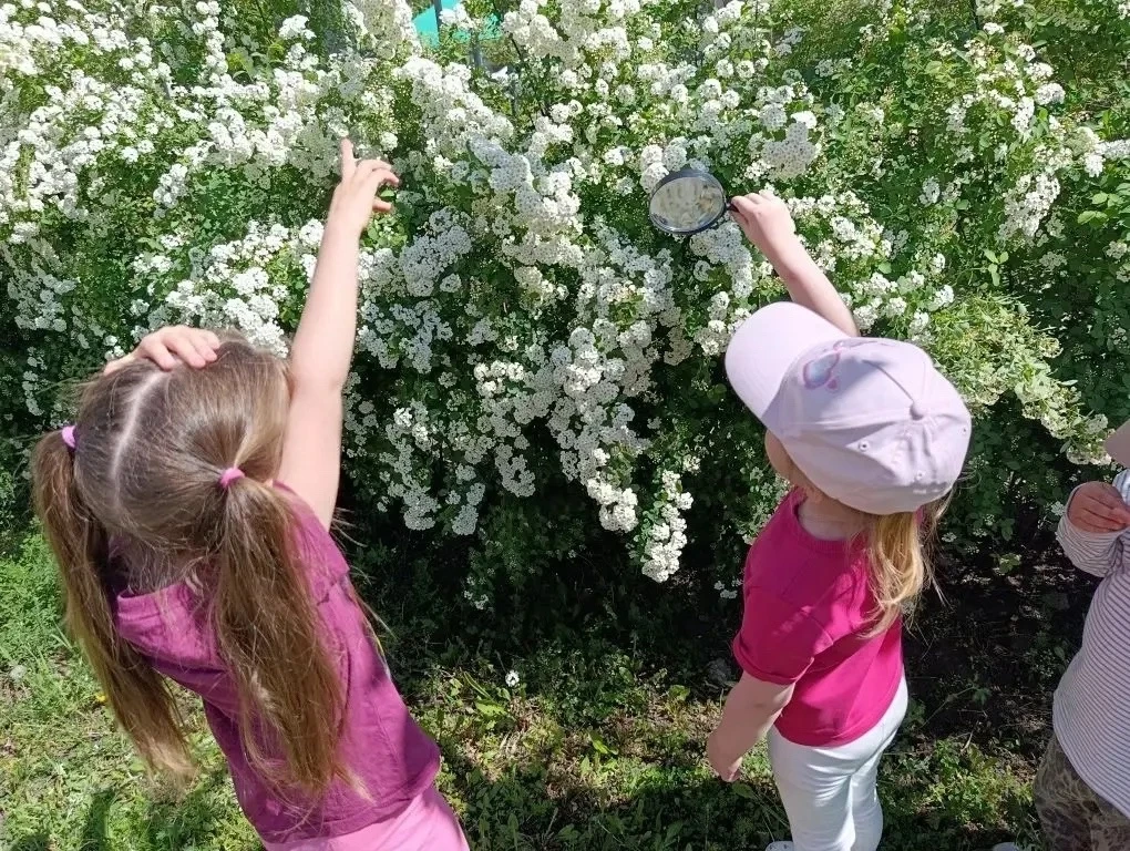 🦋 В ГОСТЯХ У БУКАШЕК