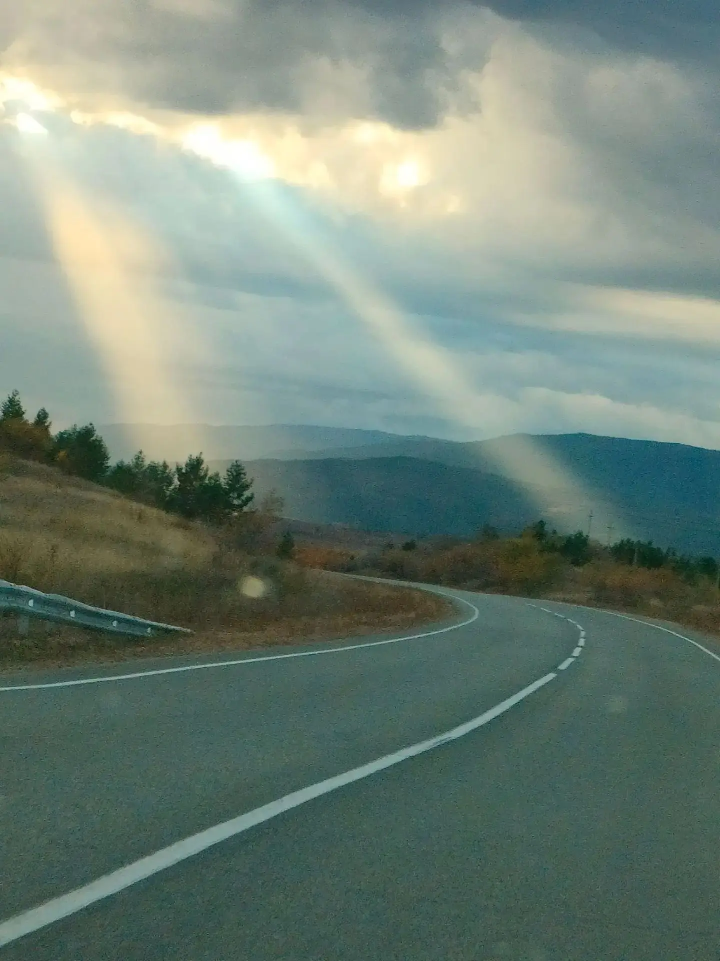 Автор 📸 Елена