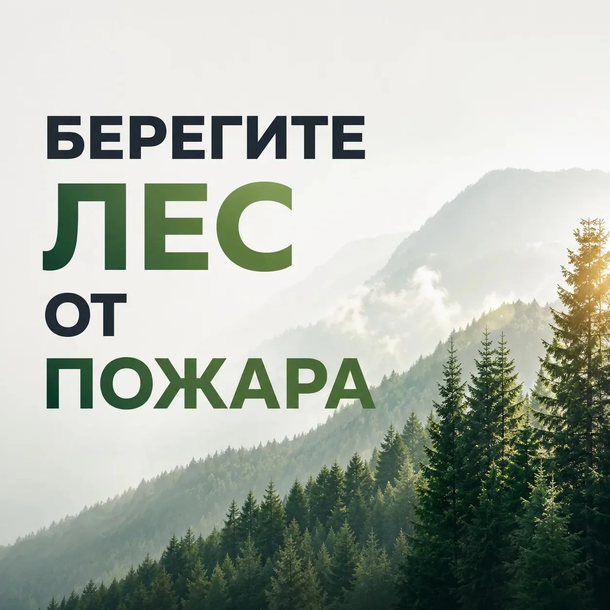 Лесные пожары чаще всего случаются по вине человека. Чтобы защитить природу, повторите ...