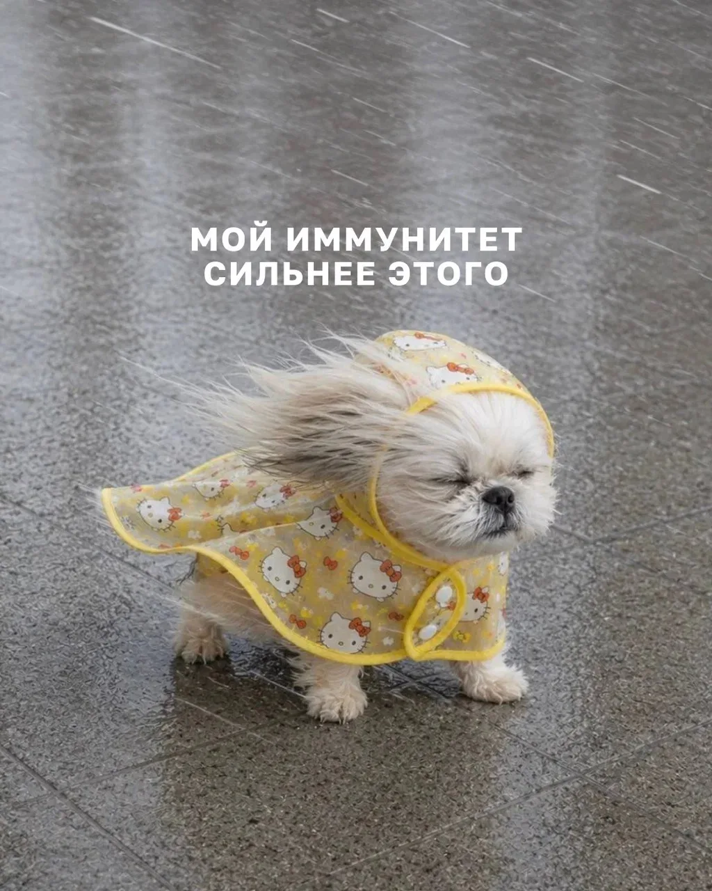 🙄 Лето пролетело как один миг