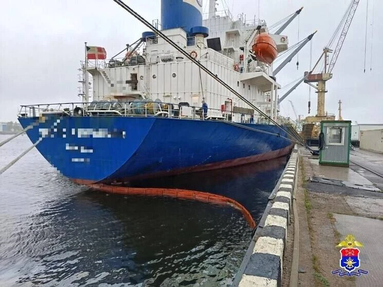 Из иностранного теплохода в акваторию Петербурга вылились нефтепродукты   В дежурную часть Петербург