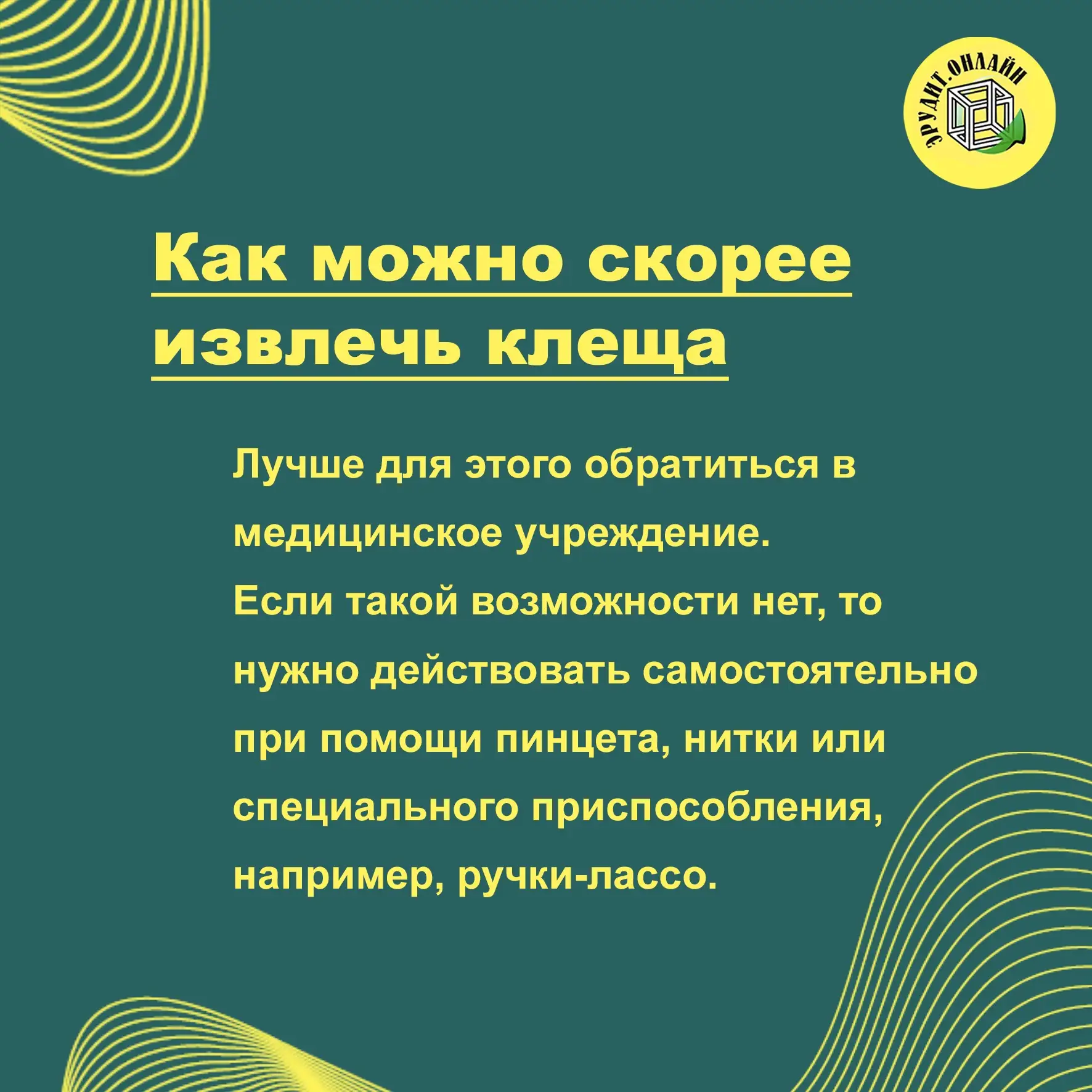 Памятка «Что делать при укусе клеща?»