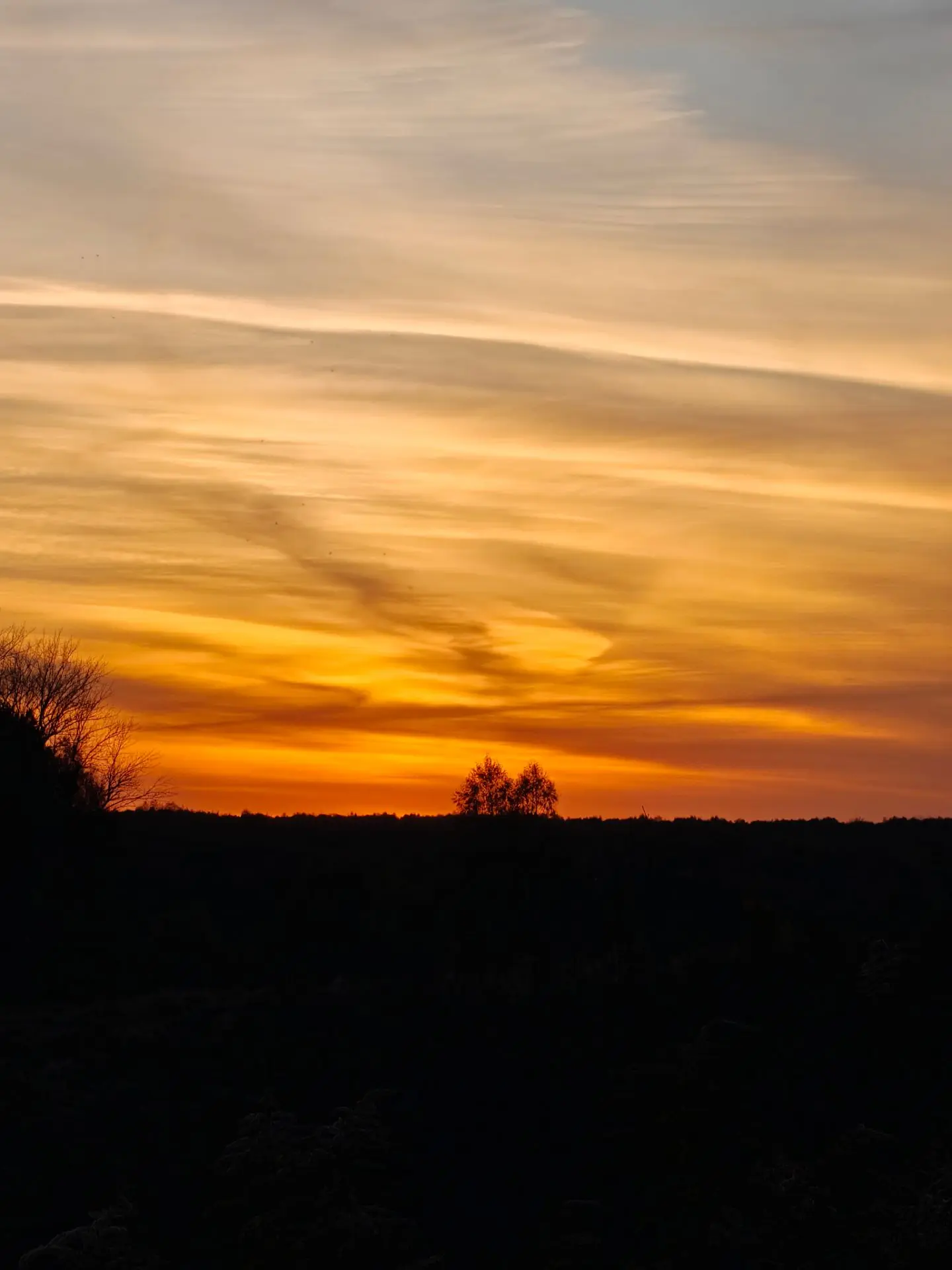 🌇