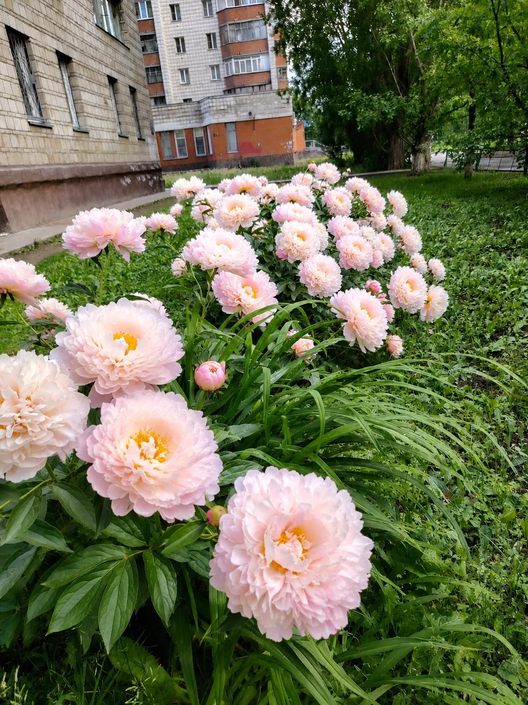 Доброе утро, затулинцы 🕊️ 

Вторник будет жарким. Температура воздуха поднимется до +27 градусов.