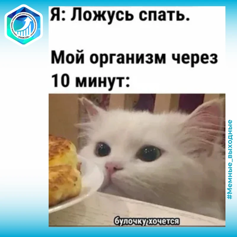 🌚 Делитесь вашими любимыми мемами, смешными картинками и видео в комментариях!
🌝 Самые интересные 