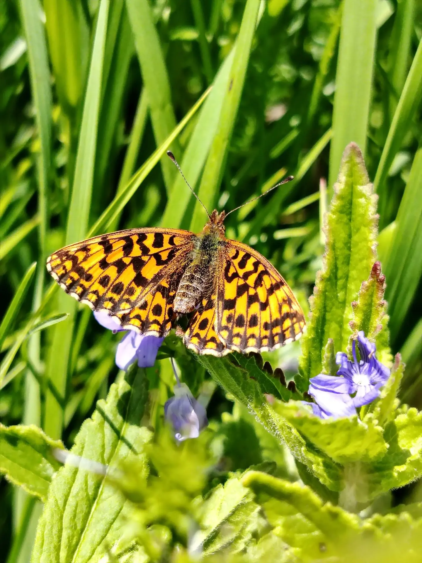 Доброго утра понедельника! 🌿
Пусть неделя будет легкой, как летний ветерок...

#Центрзанятостинасел