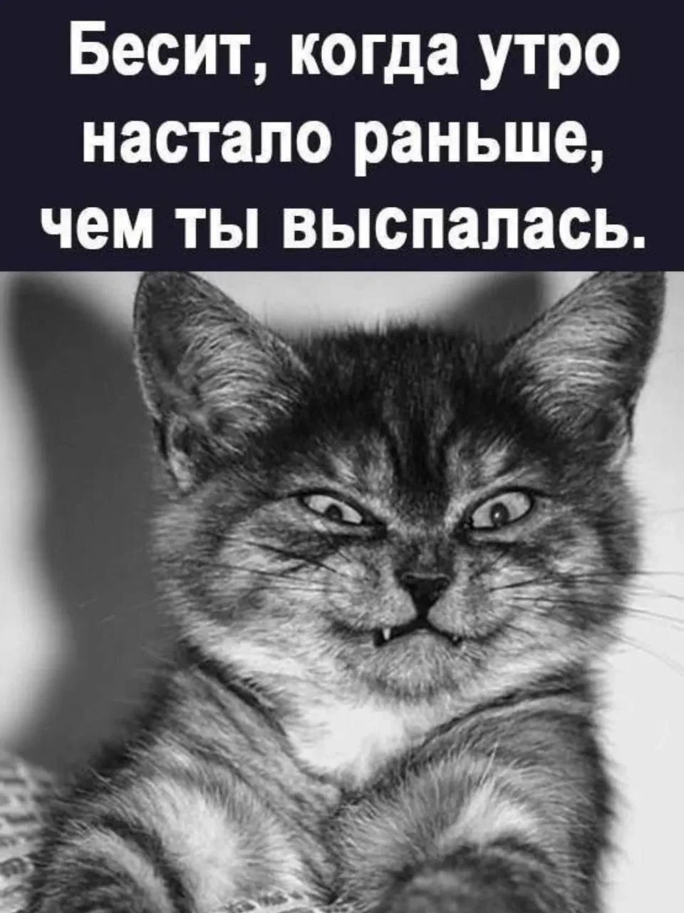 Спасибо за реакции — очень ценю!