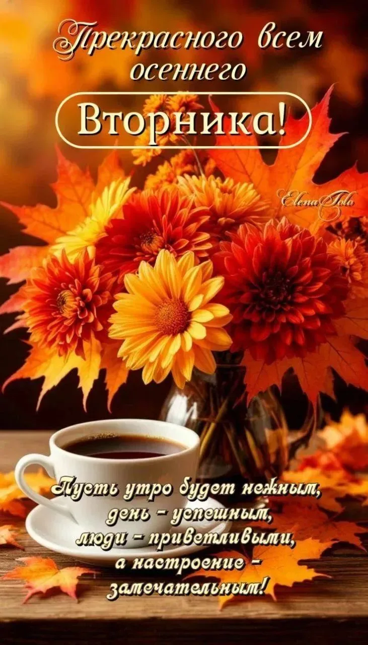 Подписаться 🍁