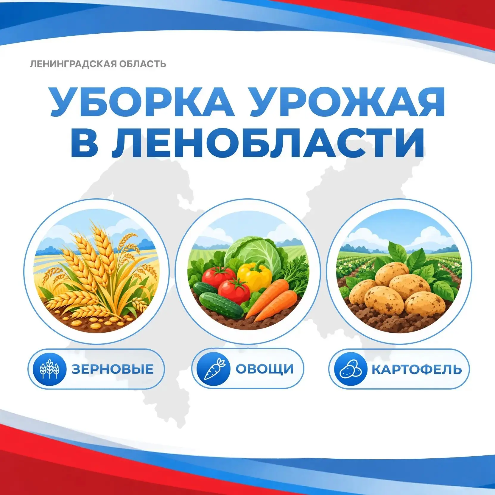 Вести с полей