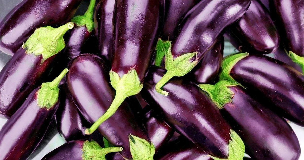 Невероятная польза баклажанов 

Самым ценным свойством этого продукта является способность довольно 