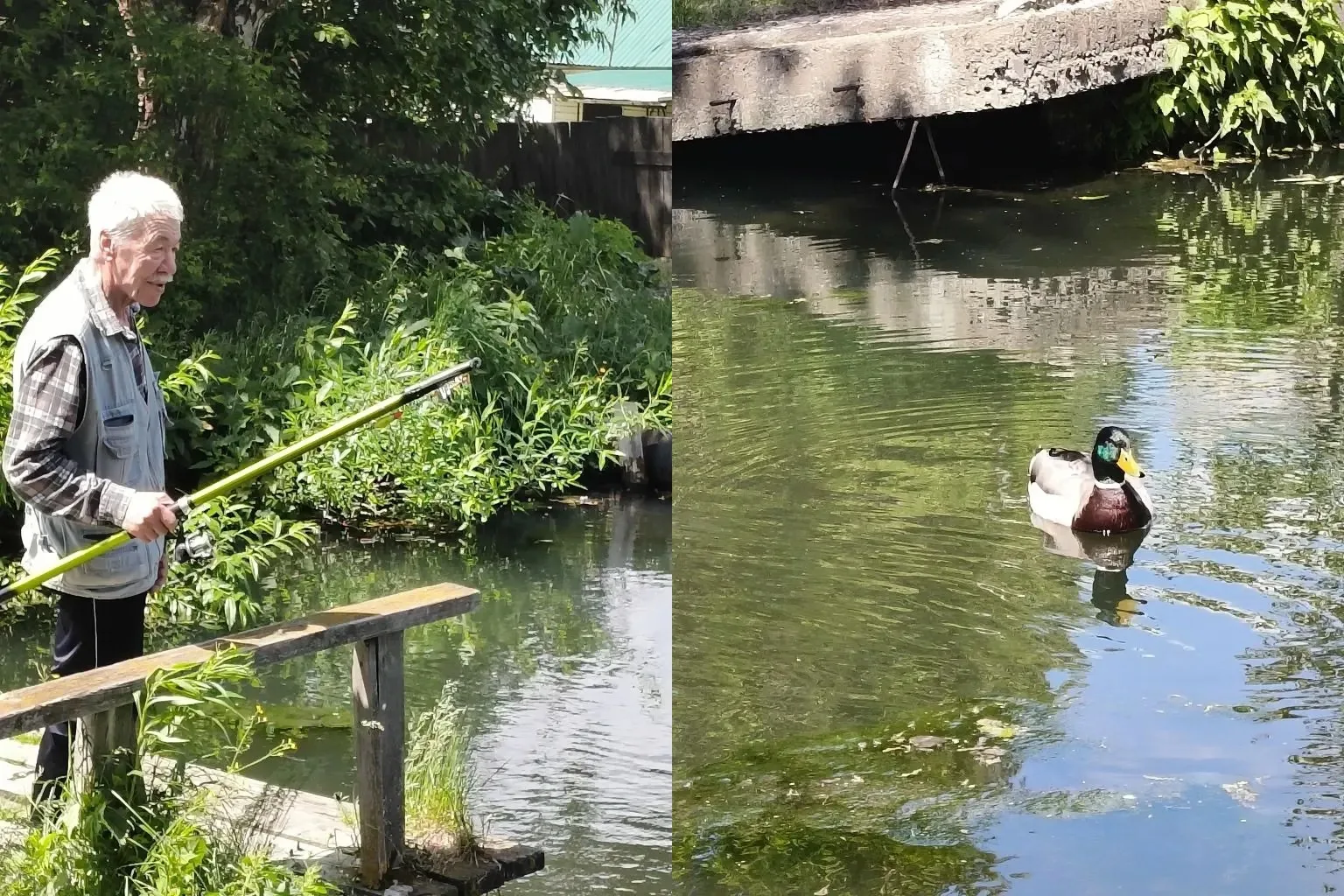Лето — это маленькая жизнь