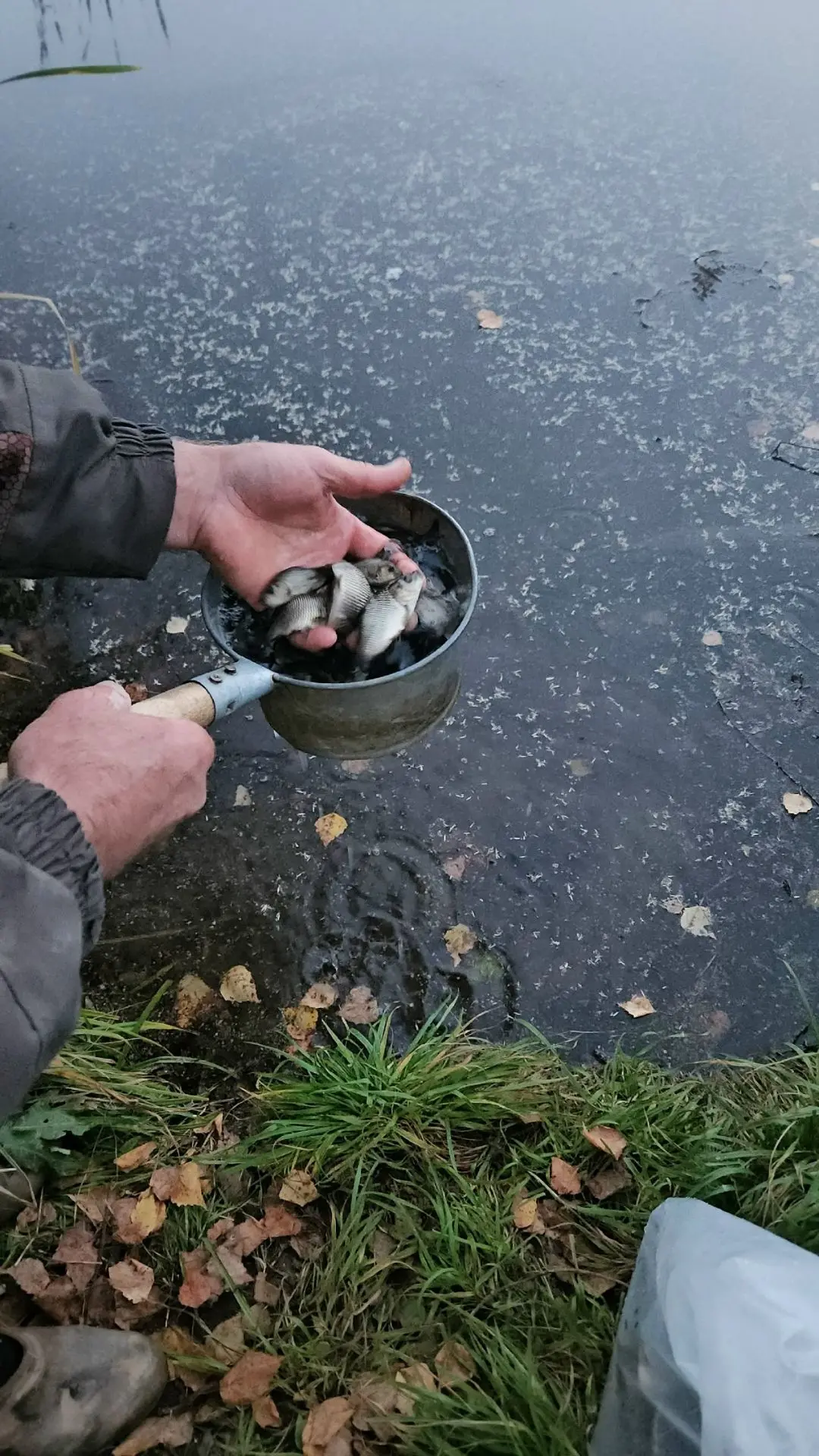 Хорошие новости с водоемов района!