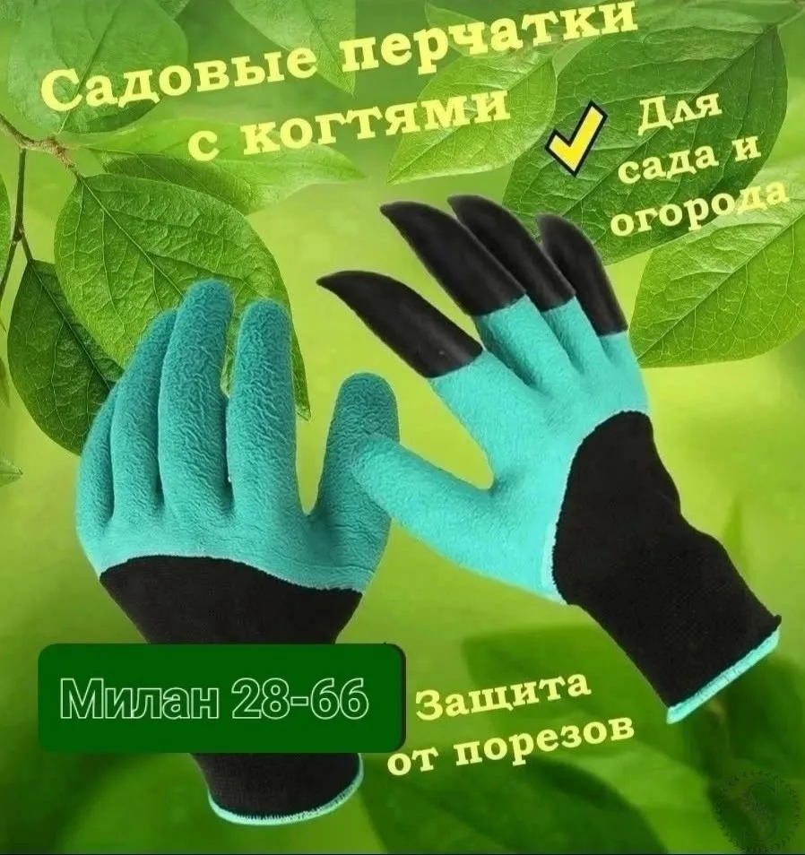 https://vk.com/photo-184814919_493528702