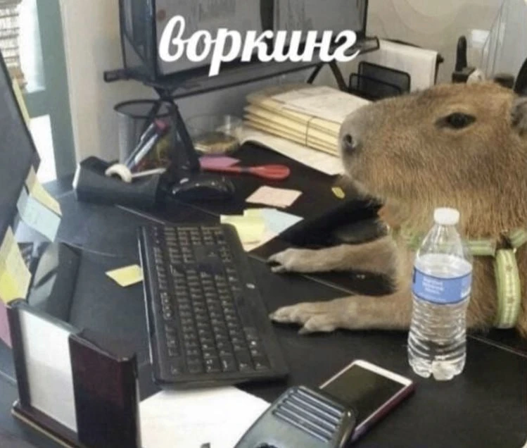 Где и сколько школьники могут заработать в ЯНАО за лето

Если работодатель готов взять сотрудника с 