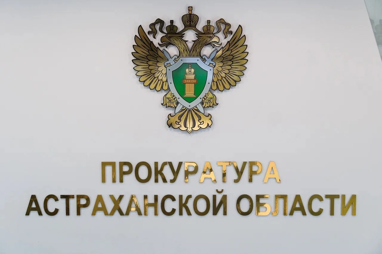 ⚡️В Астраханской области за махинации на госзакупках возбудили 31 уголовное дело