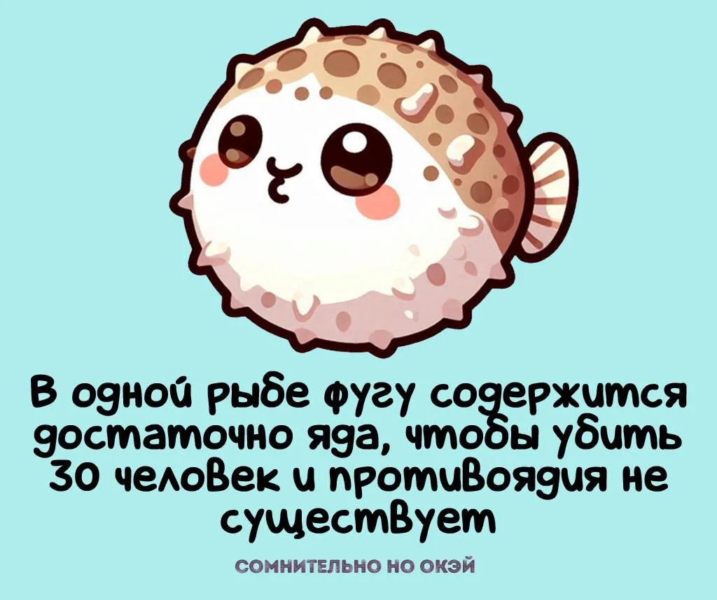Признавайтесь, знали?