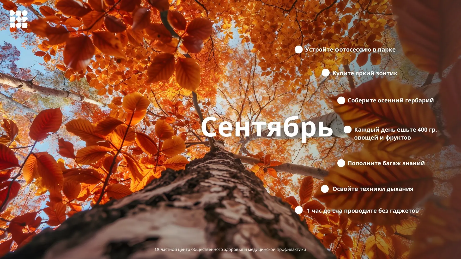 🗓️ Наступила осень, а с ней и активные рабочие будни